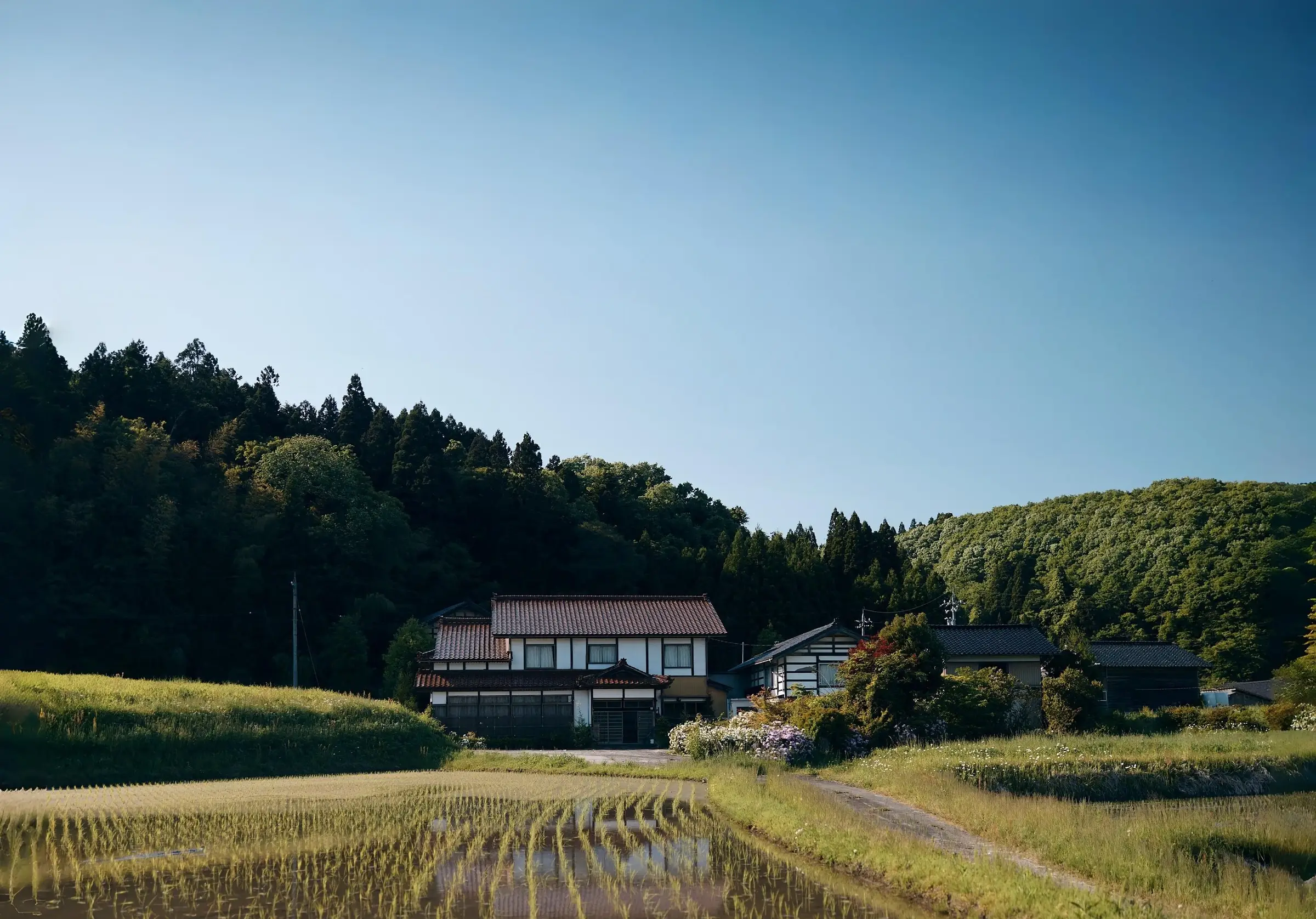T-Wabisato house and surroundings (t-wabisato)
