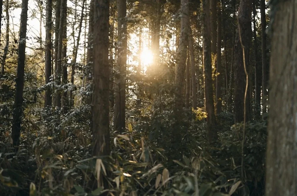 Residency and community gatherings (t-wabisato)